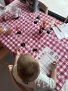 Ogledna-aktivnost-pripravnice--PO-MALI-PRINC06